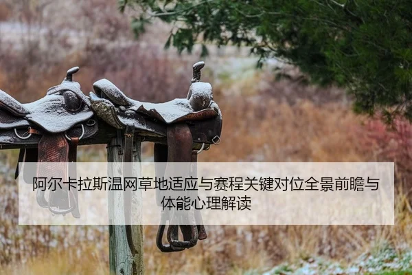 阿尔卡拉斯温网草地适应与赛程关键对位全景前瞻与体能心理解读